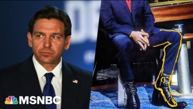 DeSantis Boots
