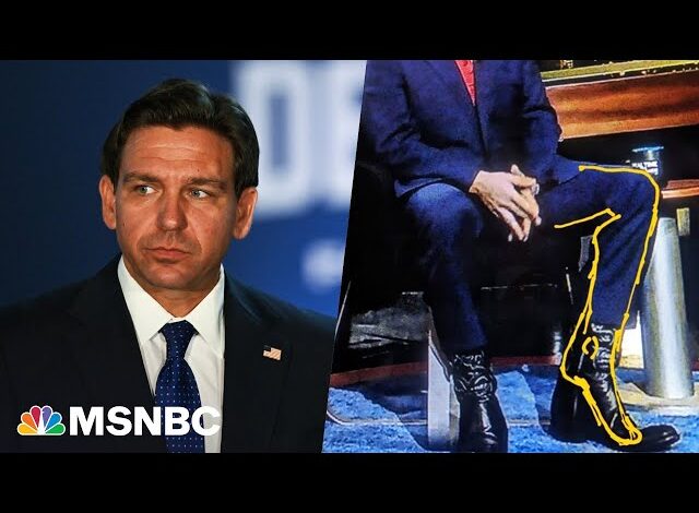 DeSantis Boots
