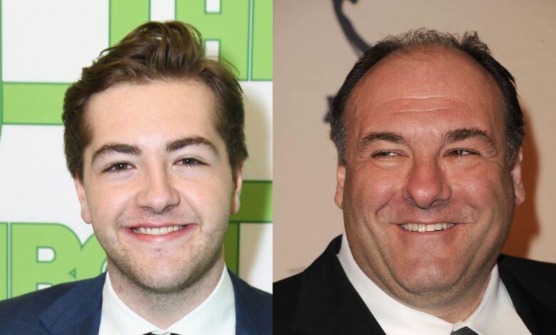 James Gandolfini Young