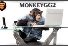 MonkeyGG2