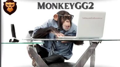 MonkeyGG2
